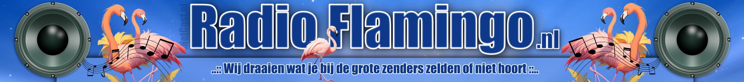 https://www.radioflamingo.nl